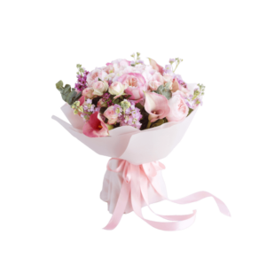 Pretty Pink Rose